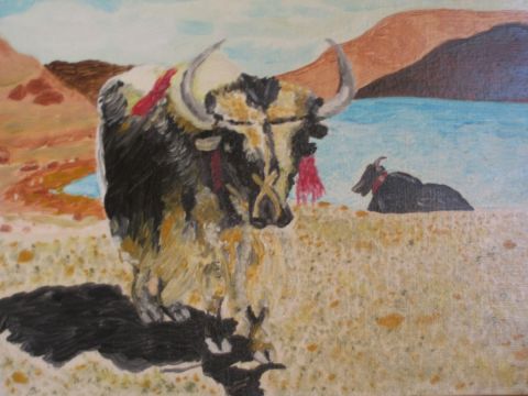 yack sur le toit du monde